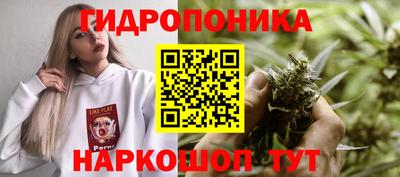 бошки Кандалакша